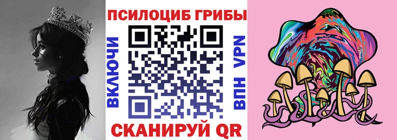 Псилоцибиновые грибы мухоморы  магазин продажи наркотиков  Бабушкин 
